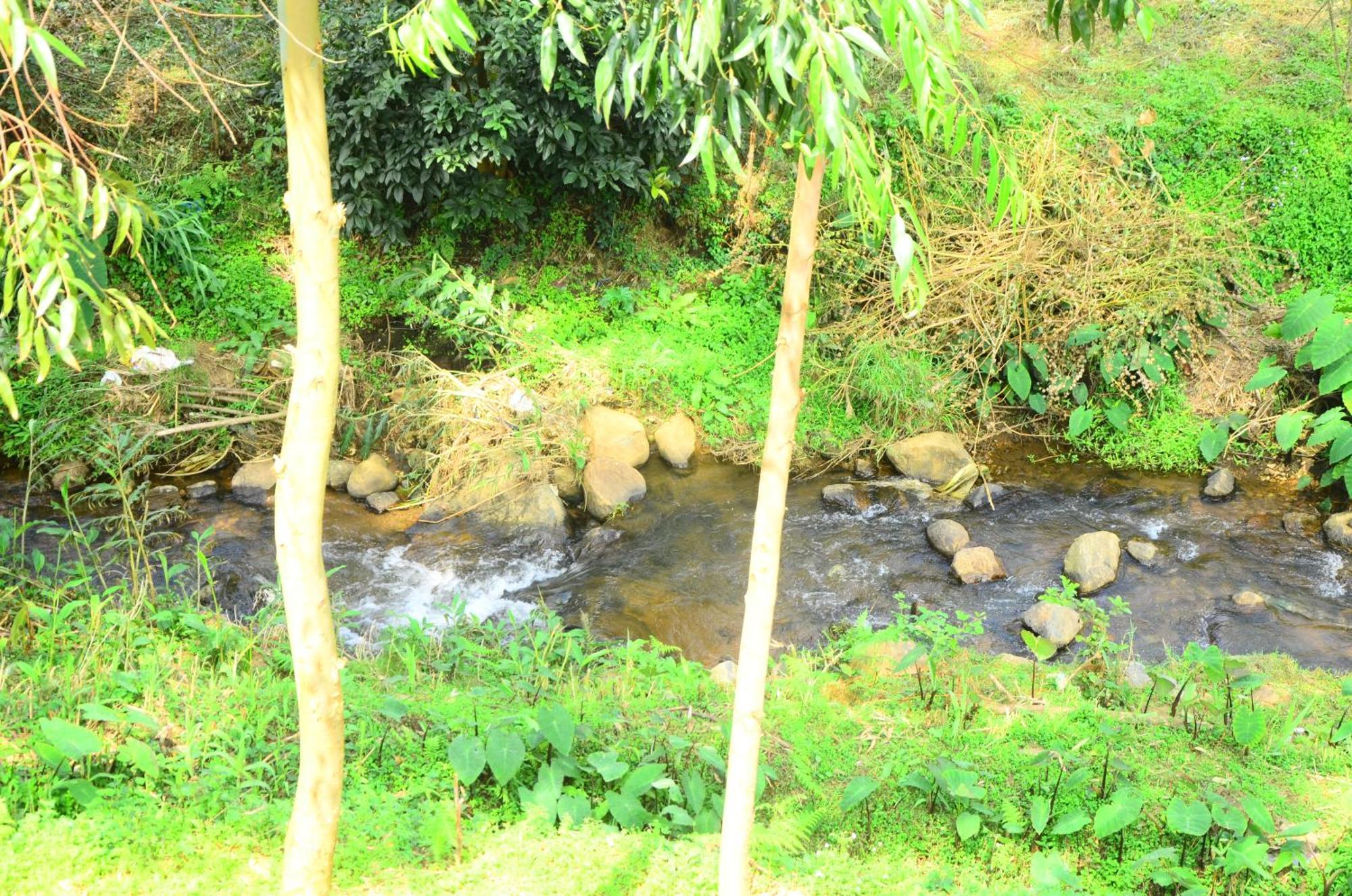 Bohemian Hideaway By Futurve Bed & Breakfast Kodaikanal Luaran gambar